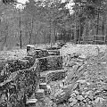 Trincea di guerra. Altopiano del Carso - Monfalcone