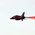 NIKON D90 | 70-200mm F 2,8 + Teleconverter 2x  | 400mm (∼609.4mm) | 1/2000 sec - F5,6 | Auto exposure (ISO 200) | Modalità: Priorità di diaframmi